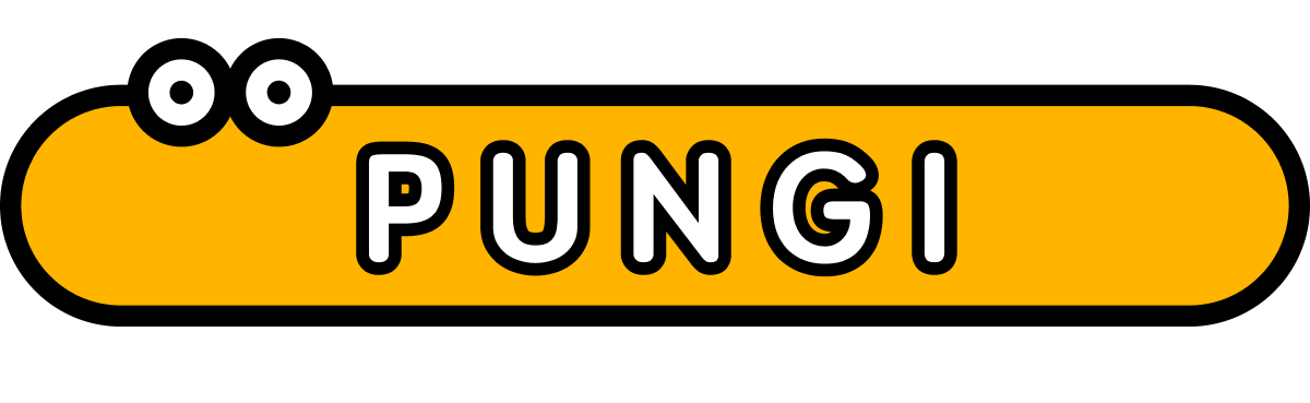 株式会社PUNGI